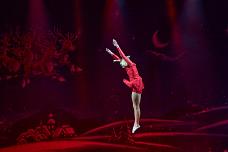Roncalli- Musicalheater Bremen 2014 - Mit Genehmigung